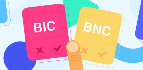 BIC ou BNC