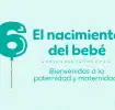 El sexto mes del bebé