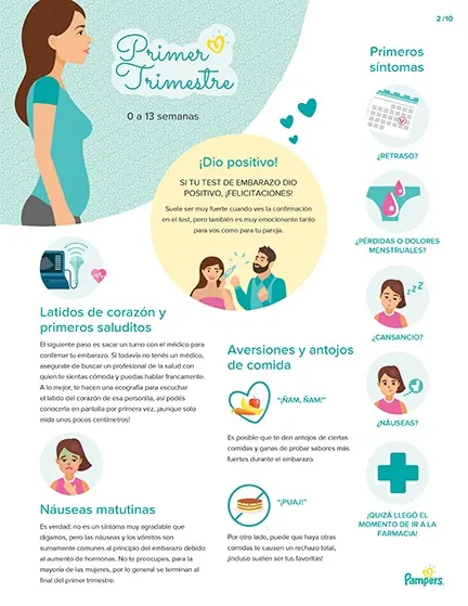 Calendario de visitas prenatales