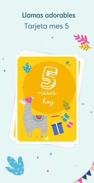 Tarjetas impresas para celebrar los 5 meses de tu bebé. Decoradas con alegres motivos que incluyen la adorable llama y una nota de celebración: ¡Hoy hace 5 meses!