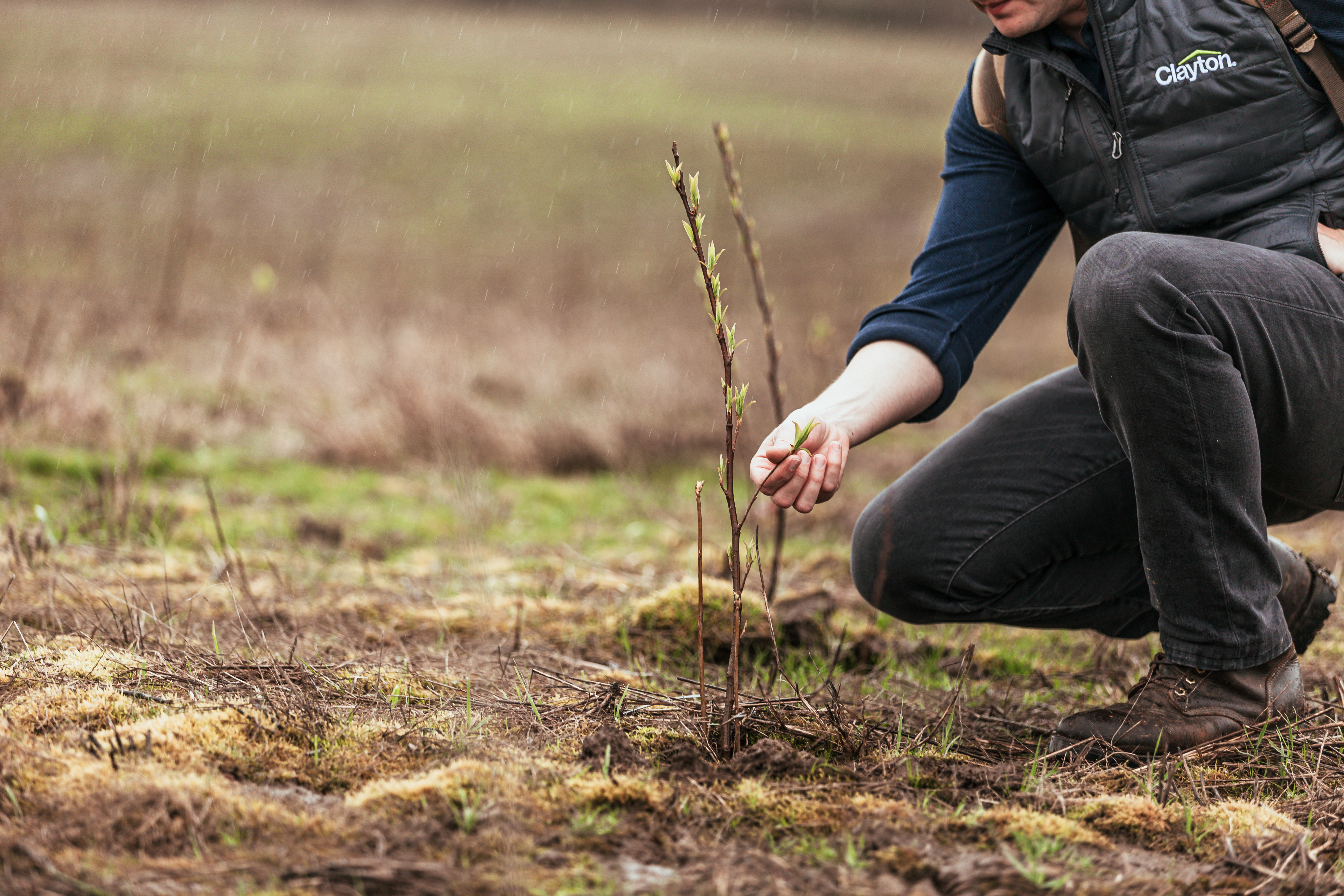 CHBG - Team member holding branch of planted tree for sustainability