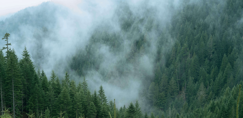 Sustainability Hero 1280