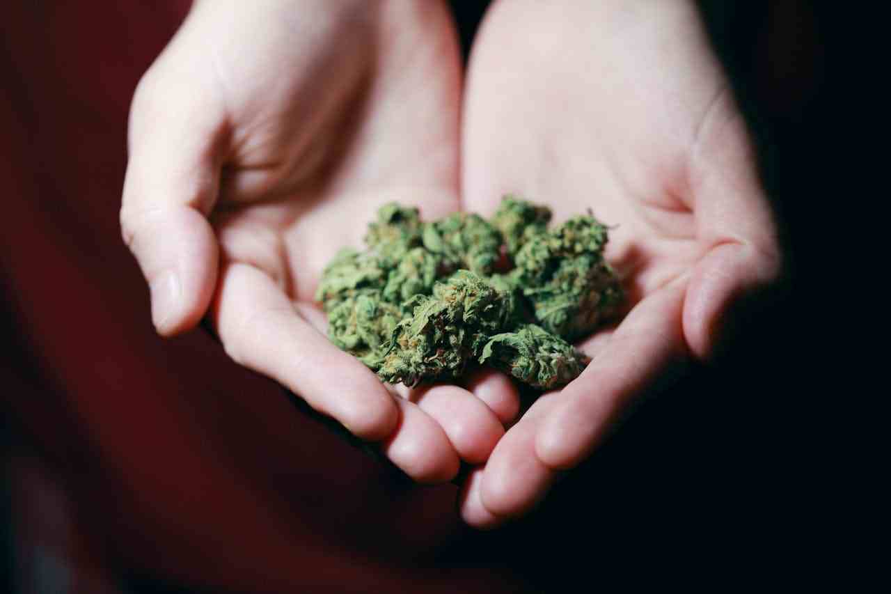 大麻是幾級毒品