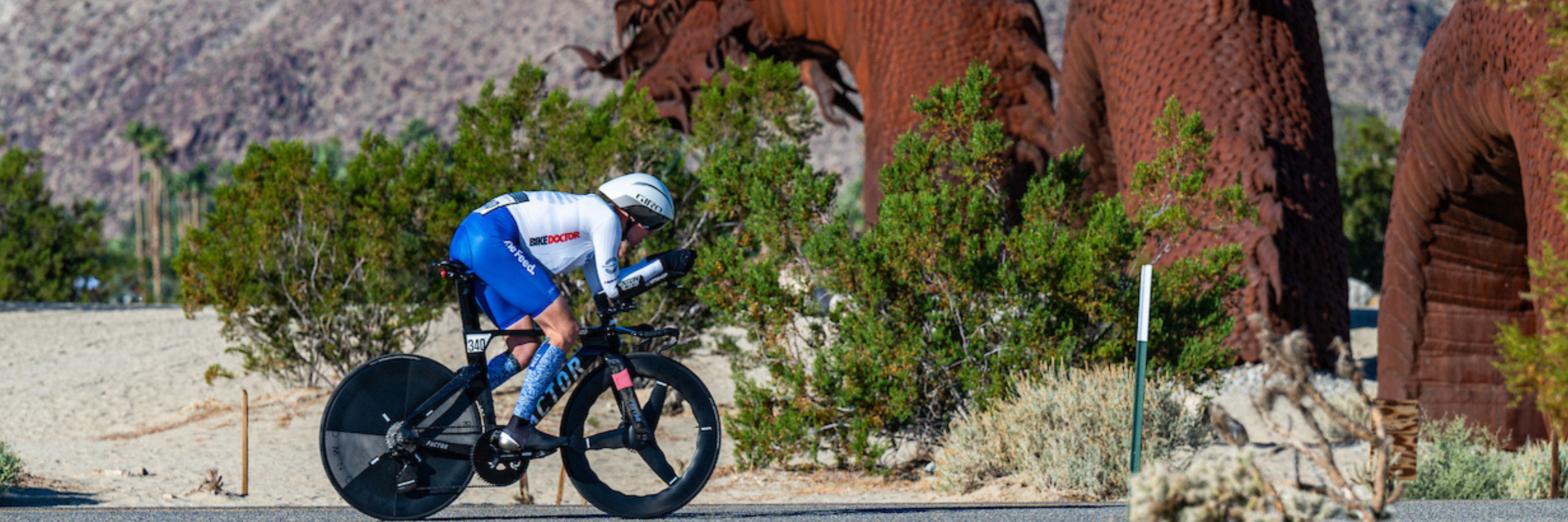 ryan collins Banner resized 6840 x 2280 (1)