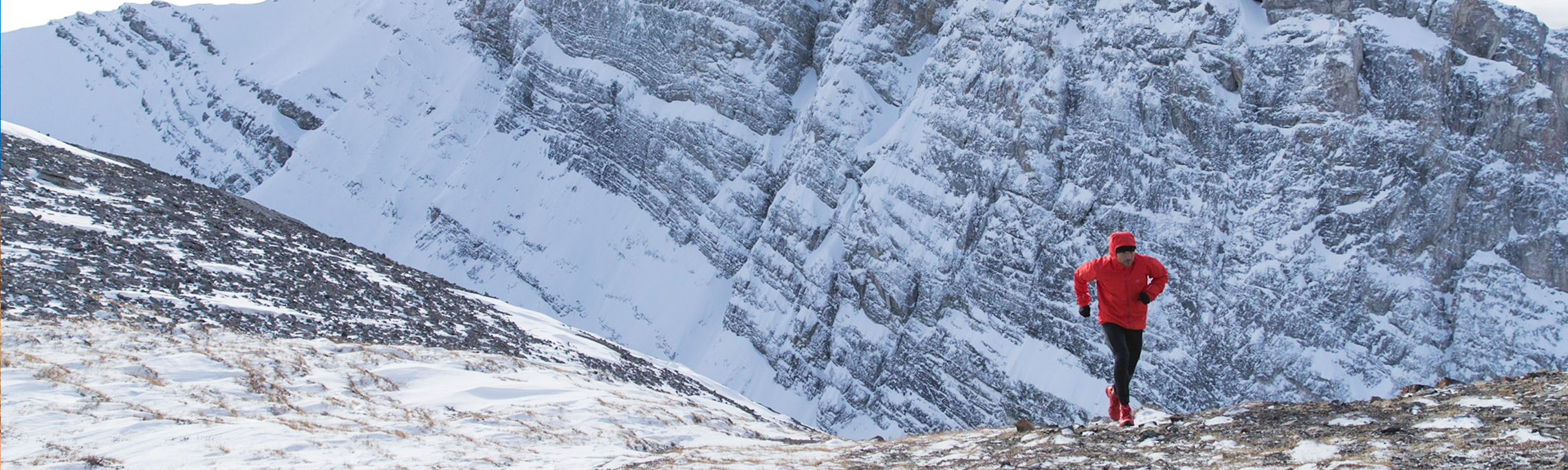 Adam Campbell Banner