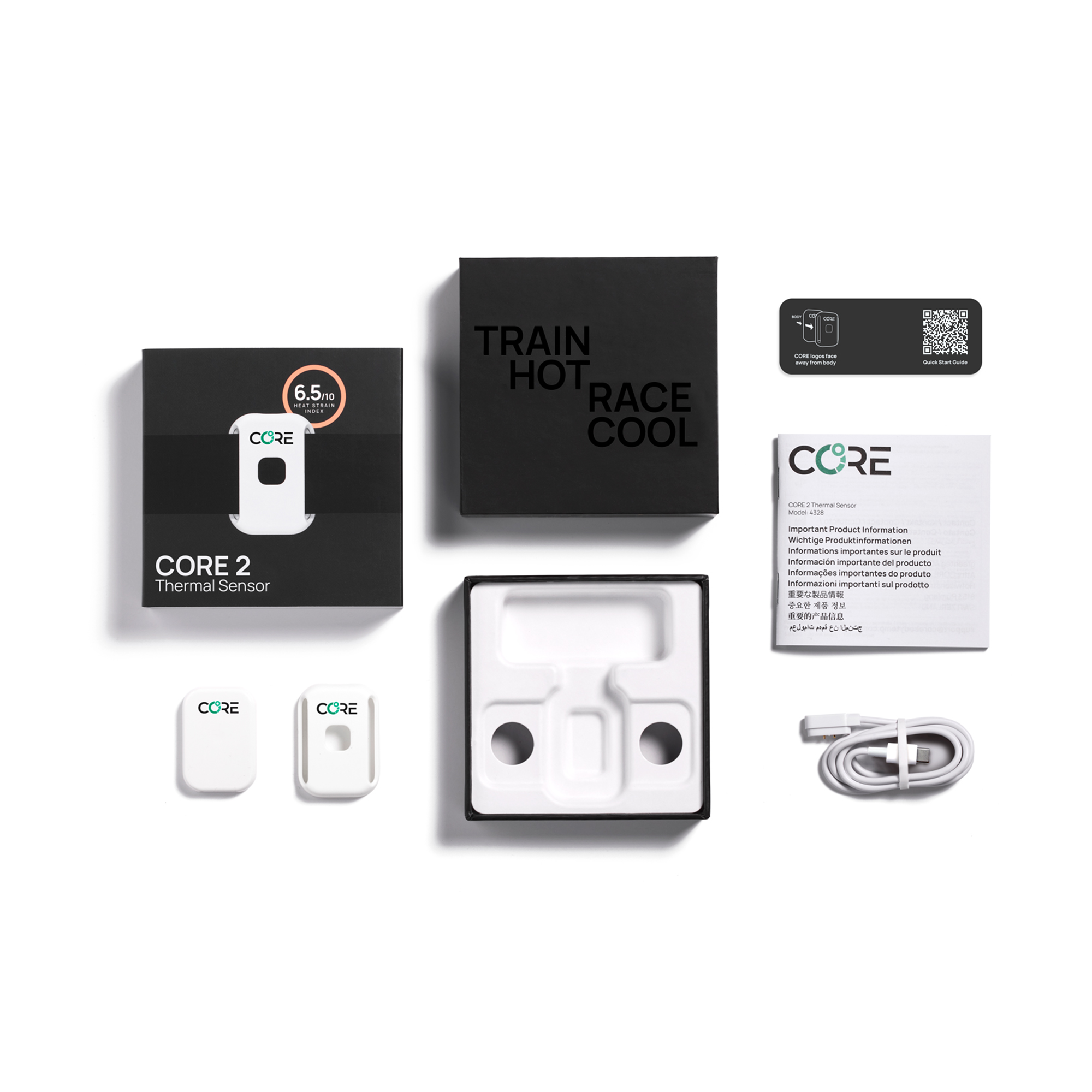 Core 2 Temperature Monitor