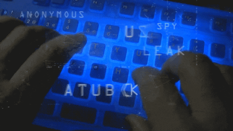 gif data