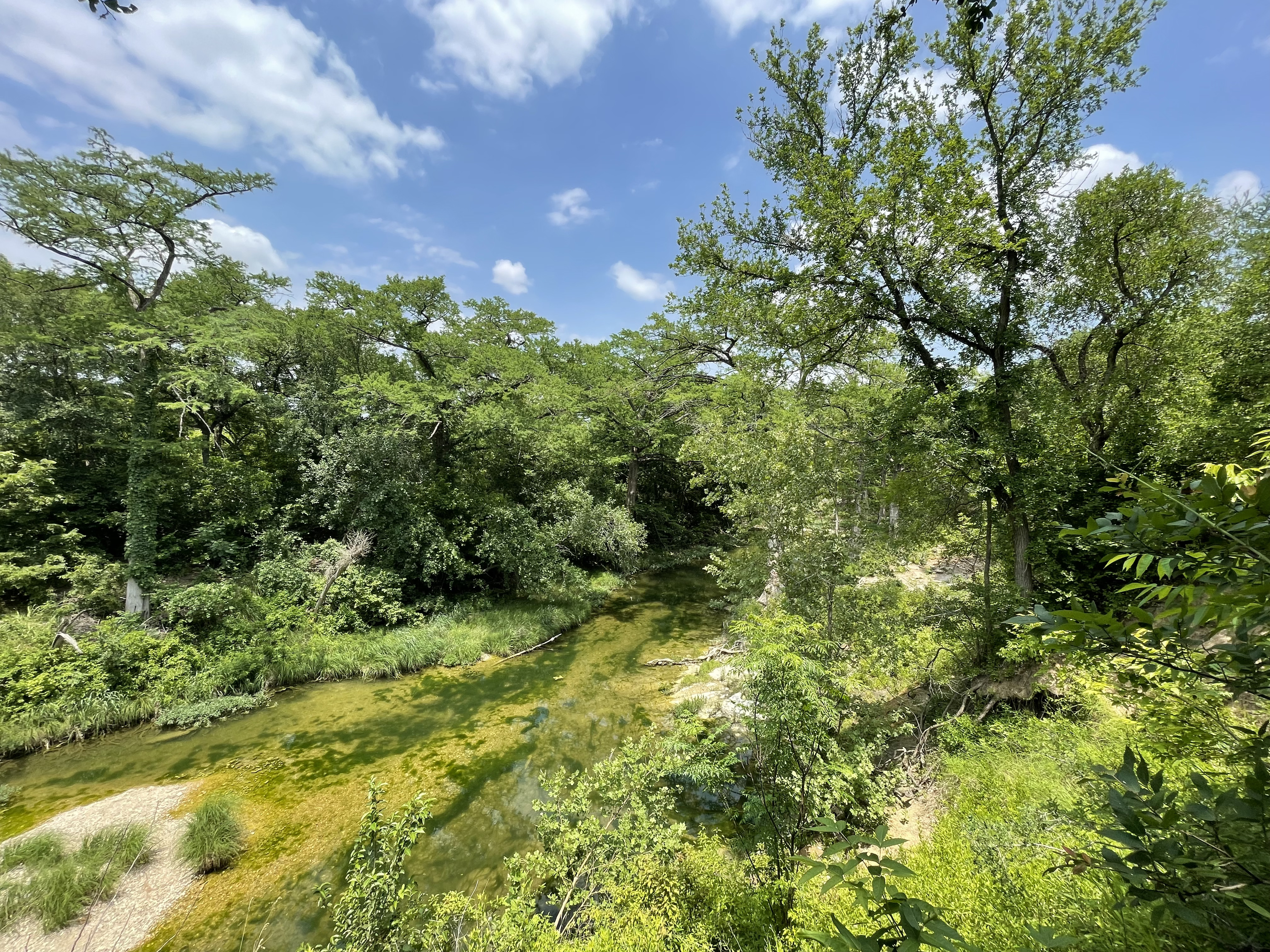 Greenbelt trails outside of Austin 