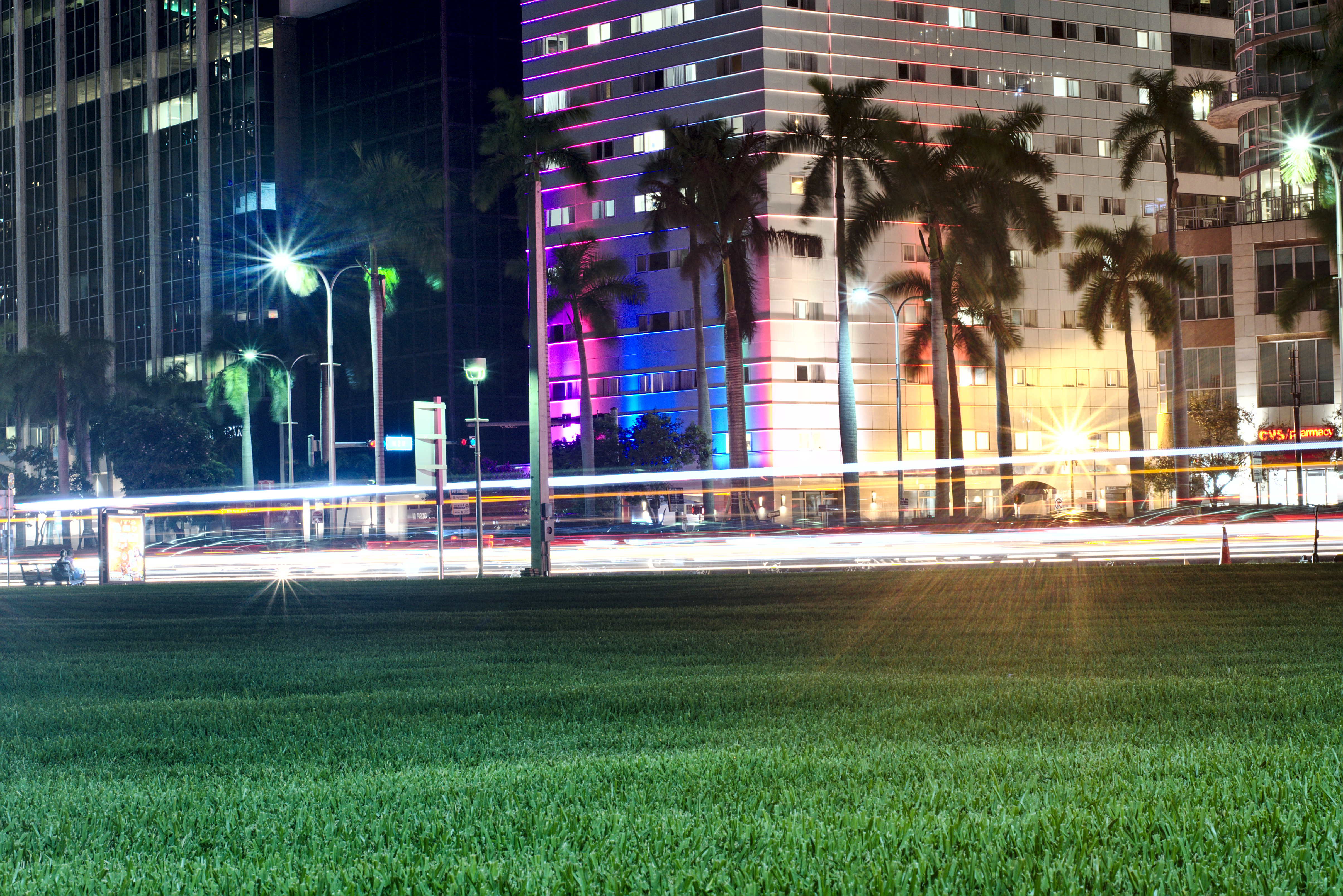 Bayfront Park Lights 