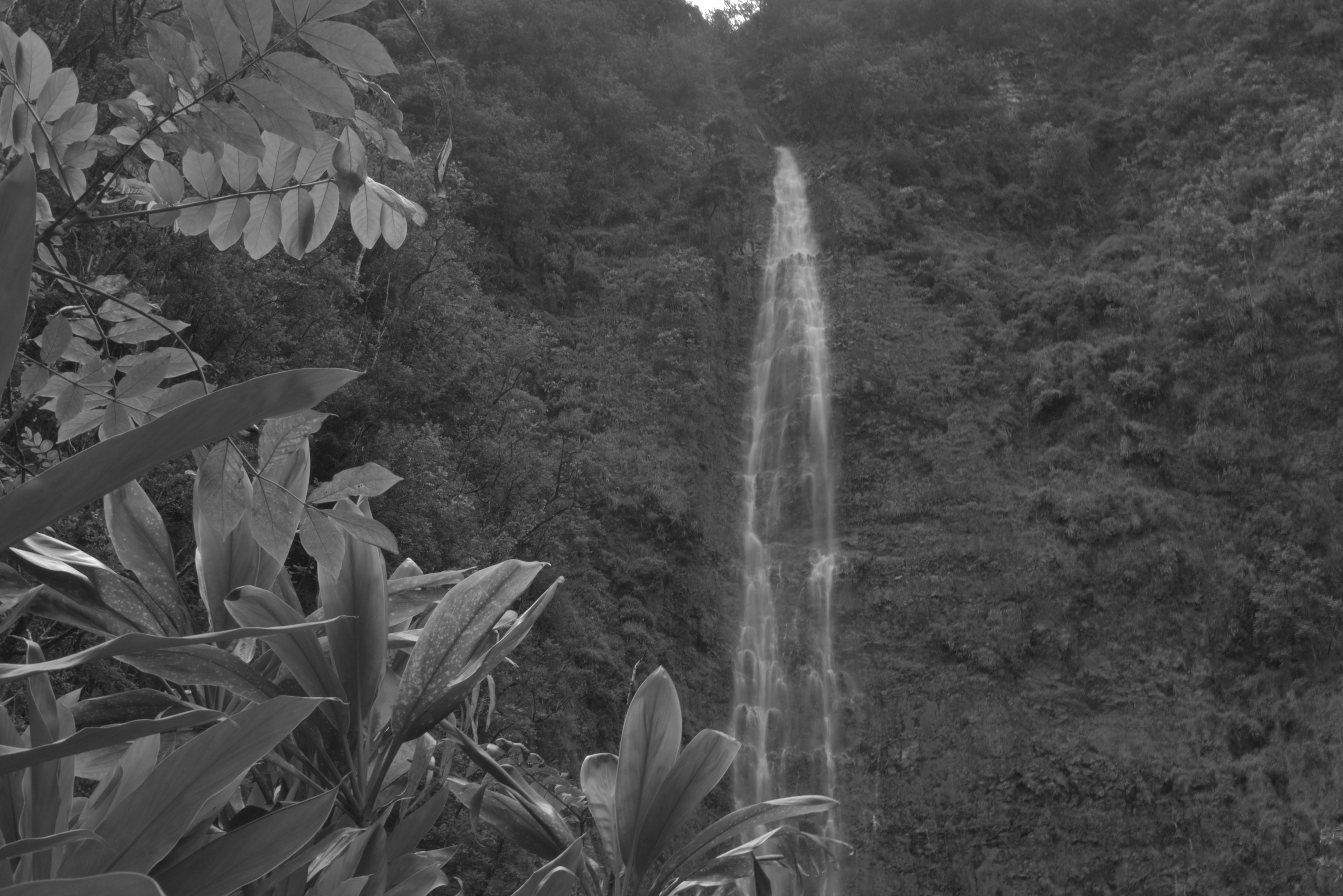 About a 2 hour hike to get to the Waimoku Falls. 