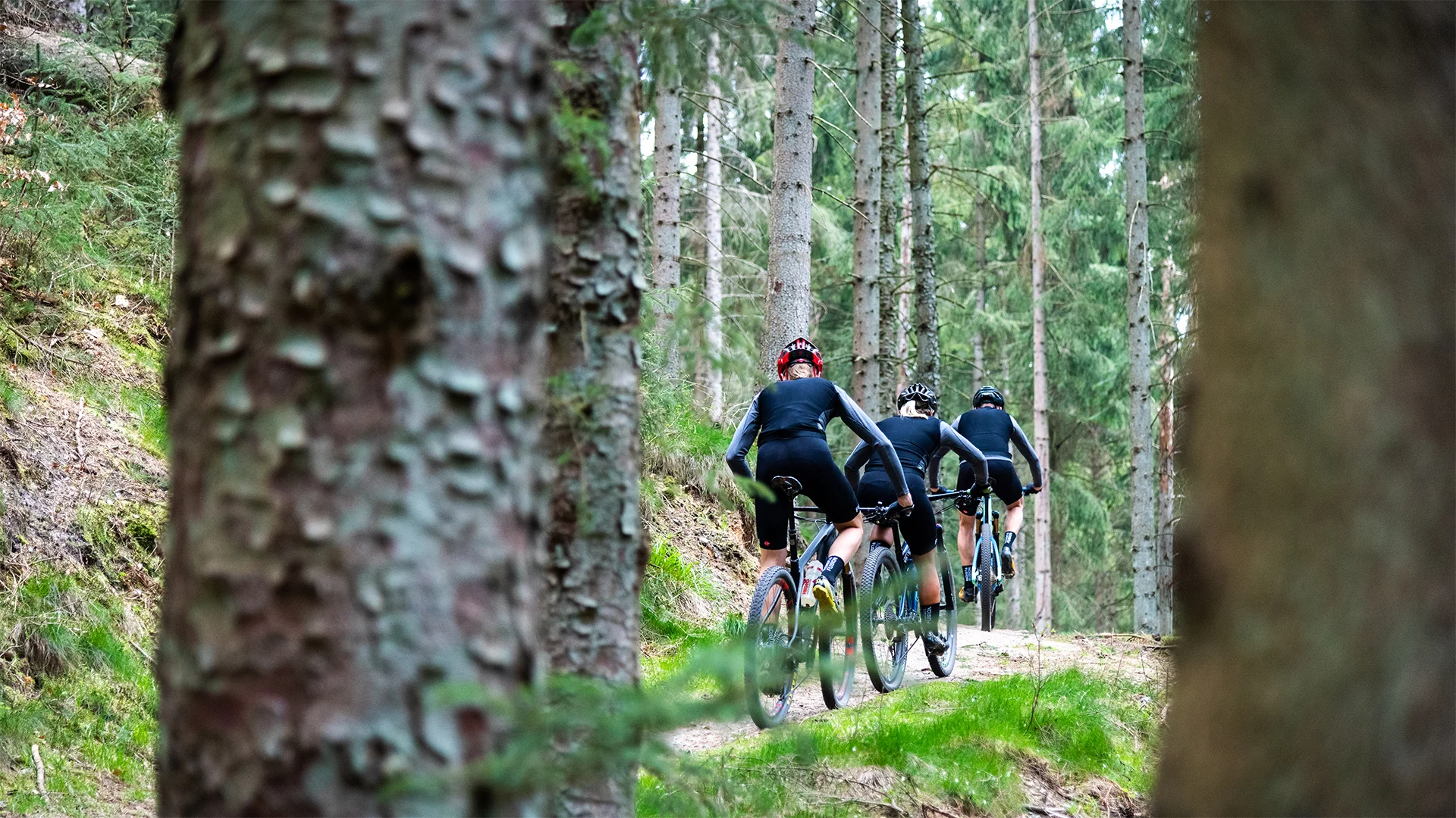 Kom i gang med terrengsykling
