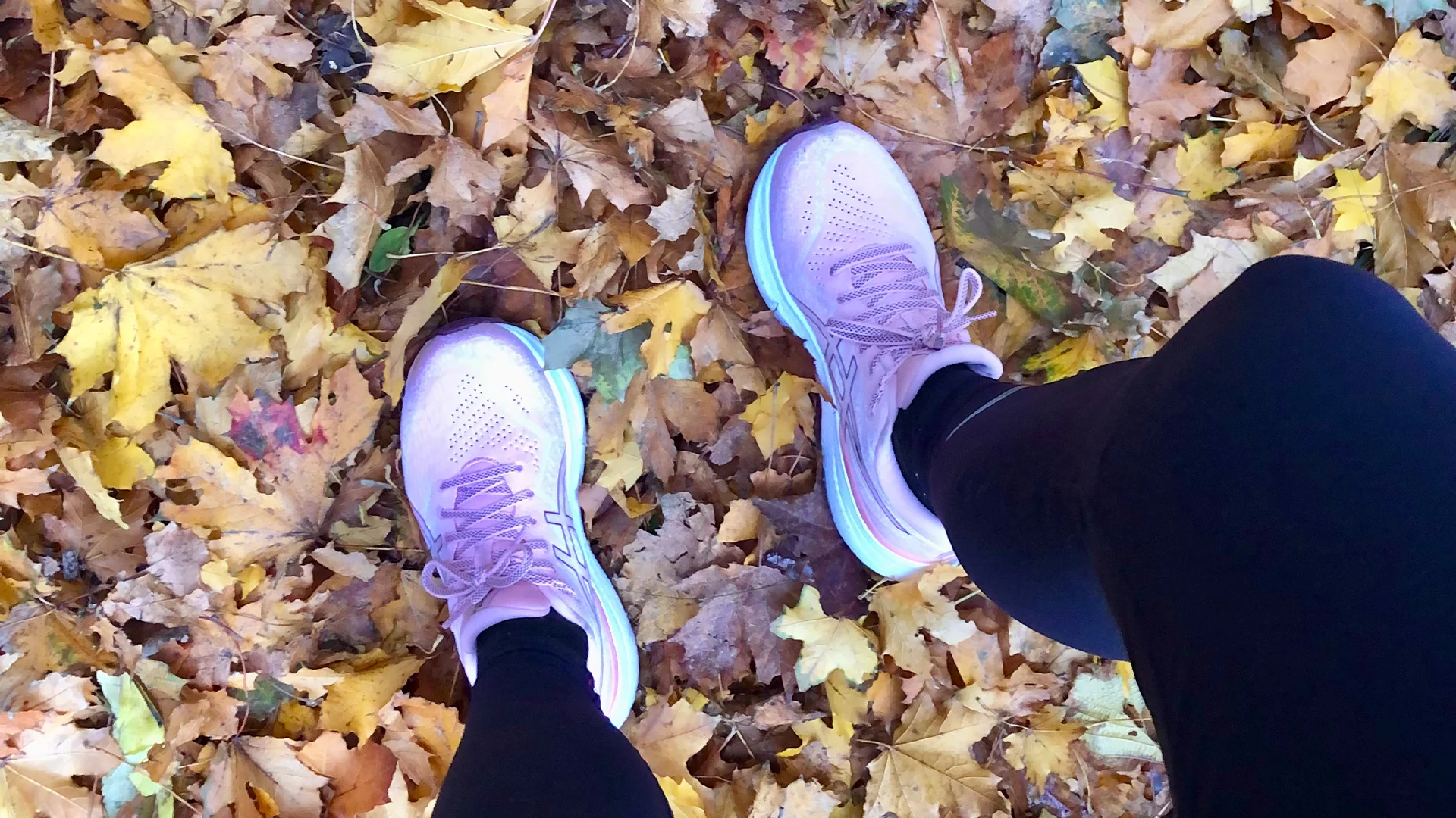 Test av Asics løpesko; Den lette, den komfortable og den støttende