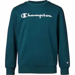 Champion sweatshirt