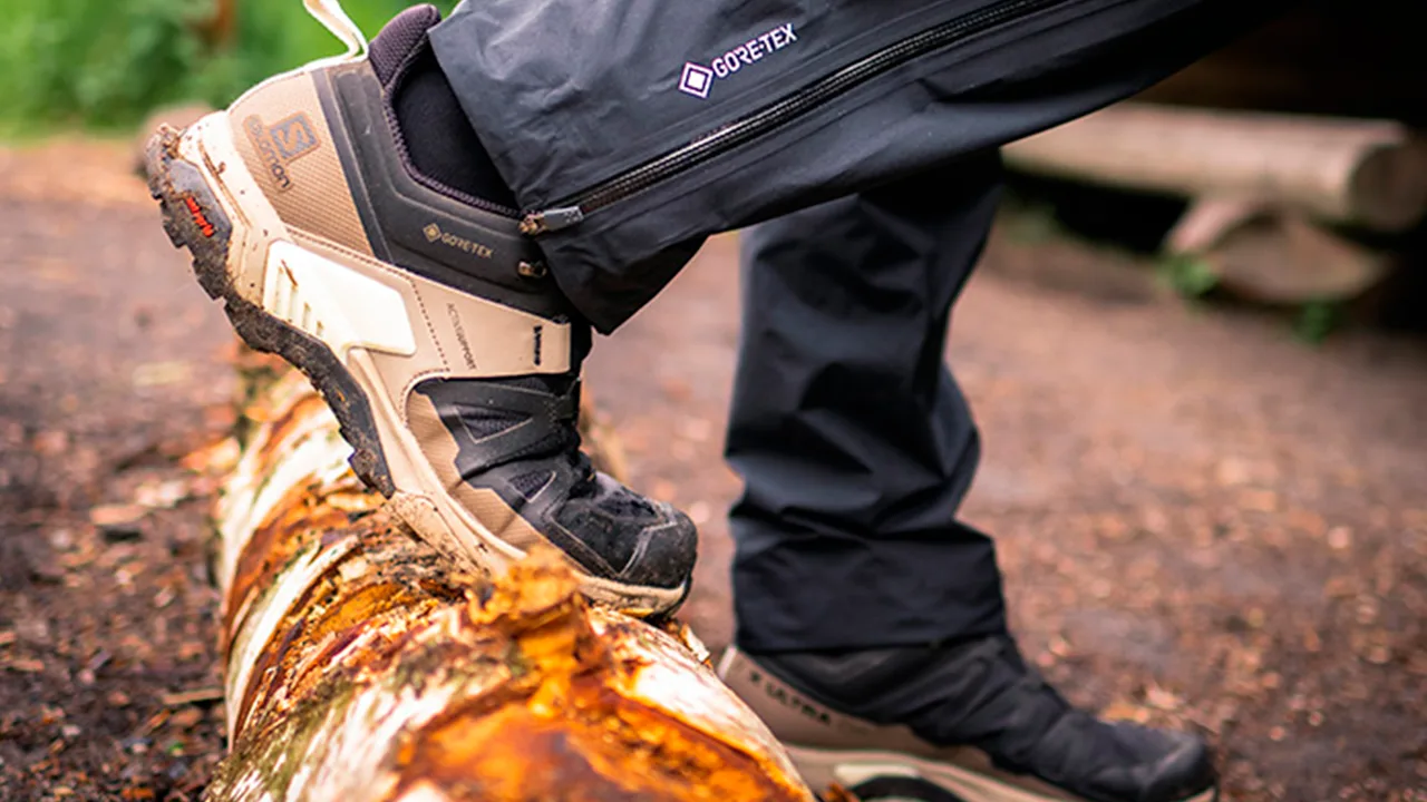 Salomon på en knop av ett träd