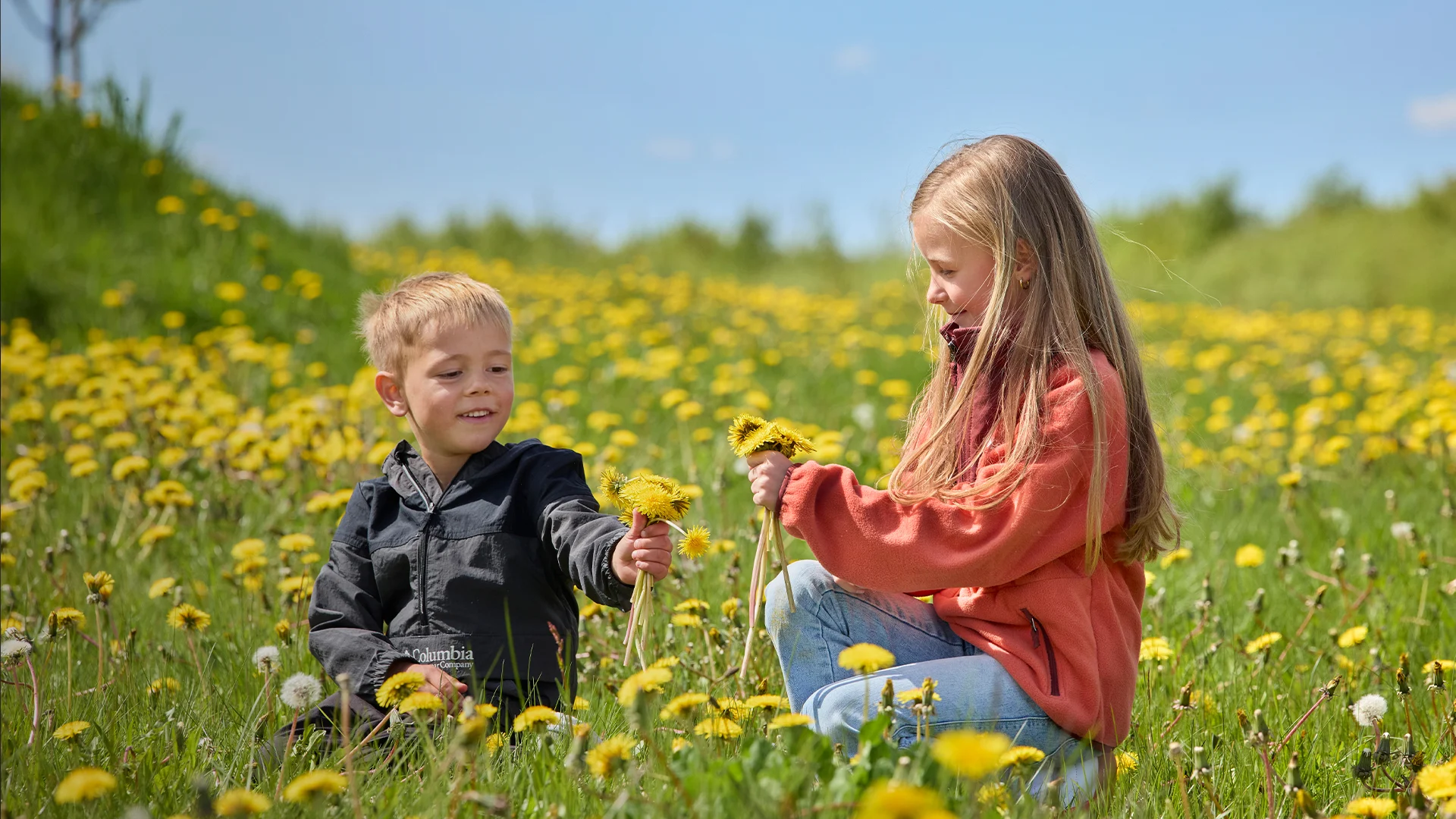 Sommerklar toppbilde