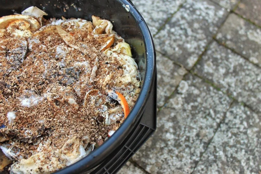Bokashi-Eimer selber machen: So geht's