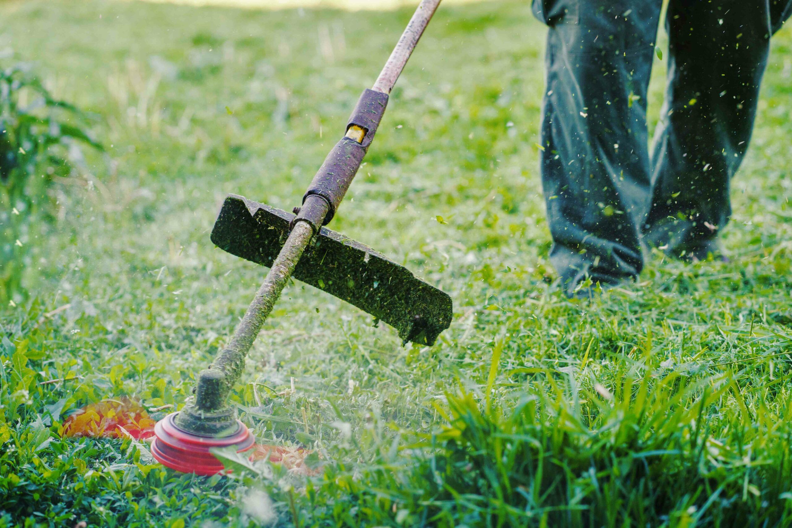 Electric lawnmower buying guide