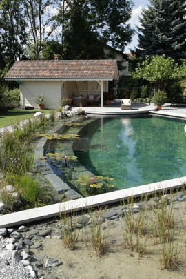 Natural Pool Build Diy Natural Swimming Pool
