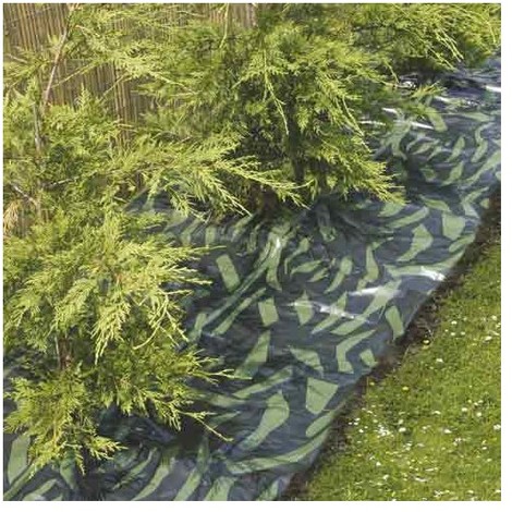 Hecke bewssern: So geht's
