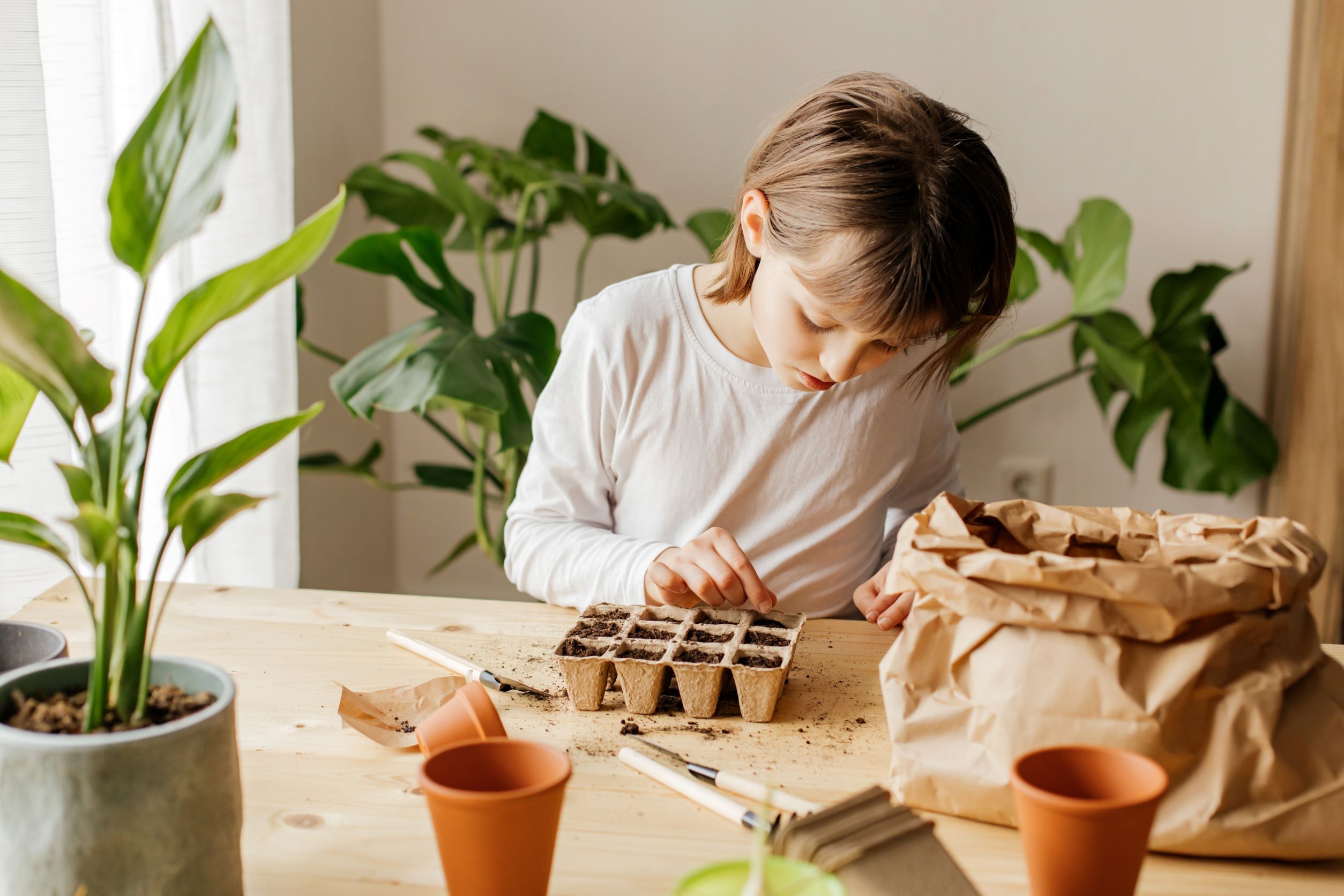 Quali verdure coltivare in piccoli spazi