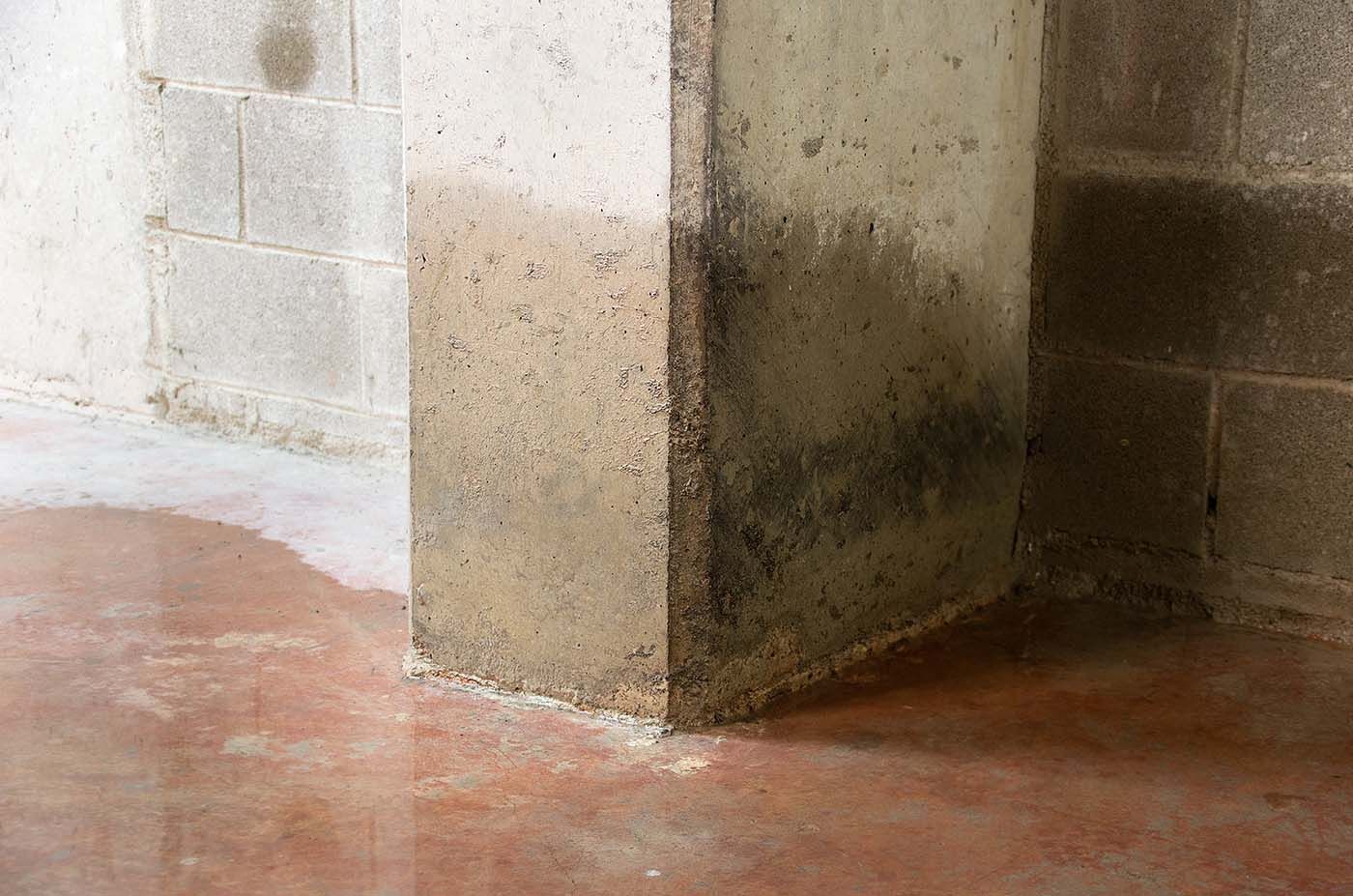 Danni causati da perdite d'acqua