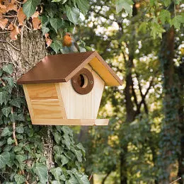 Wildlife Garden WG1122 Multiholk - Mangiatoia E Casetta Per Uccelli 2 In 1 In Legno - 3