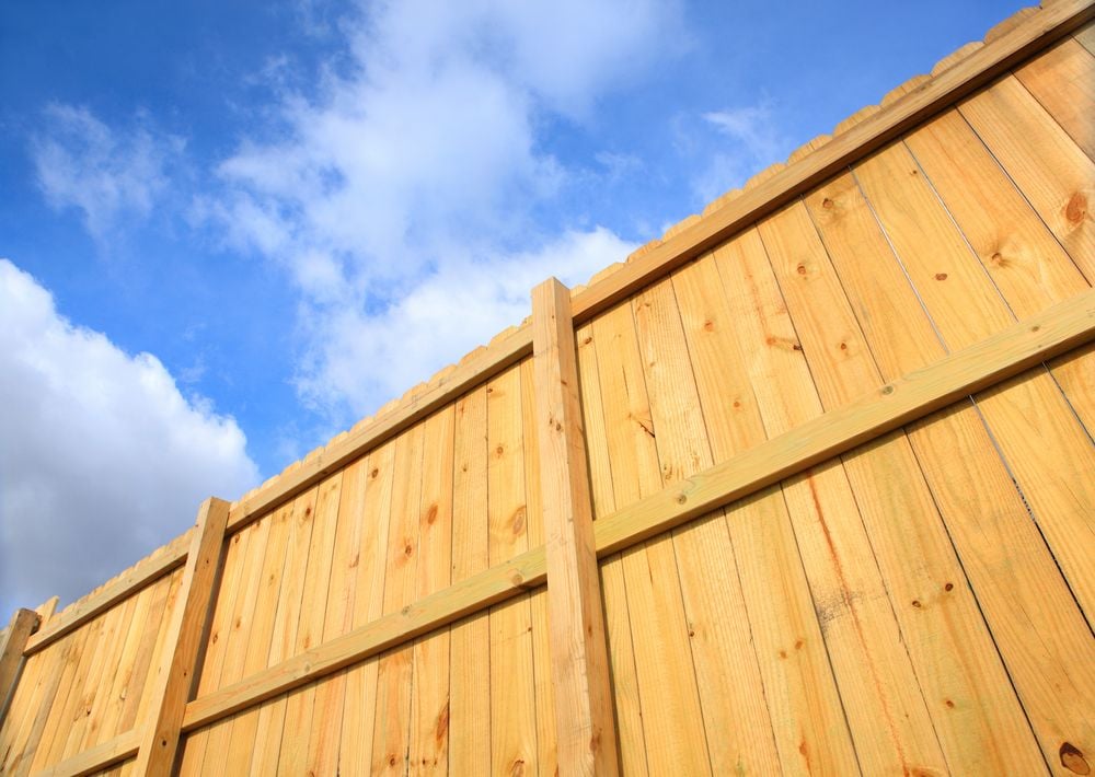 Electric fencing buying guide