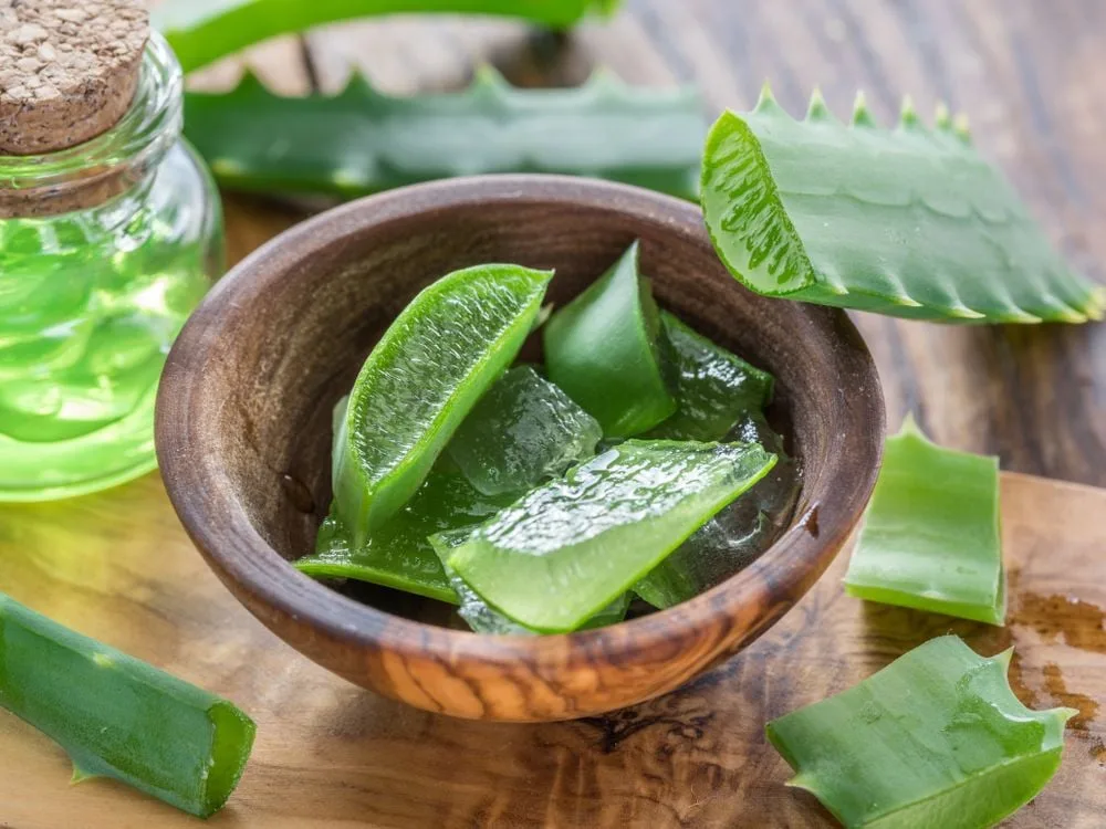 hilft aloe vera bei herpes Aloe Vera Seife, empfohlen bei Ekzemen, Neurodermitis und Herpes|PAOS –  paos-naturkosmetik main image 0