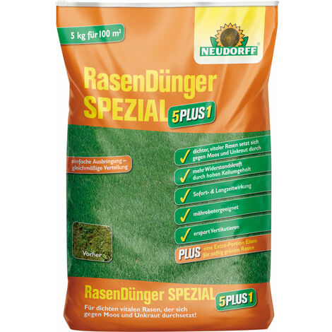 Rasen pflegen: So geht's