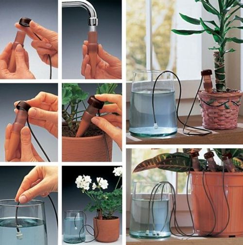 begonia plants for hanging baskets Hanging Basket Begonia Collection main image 1
