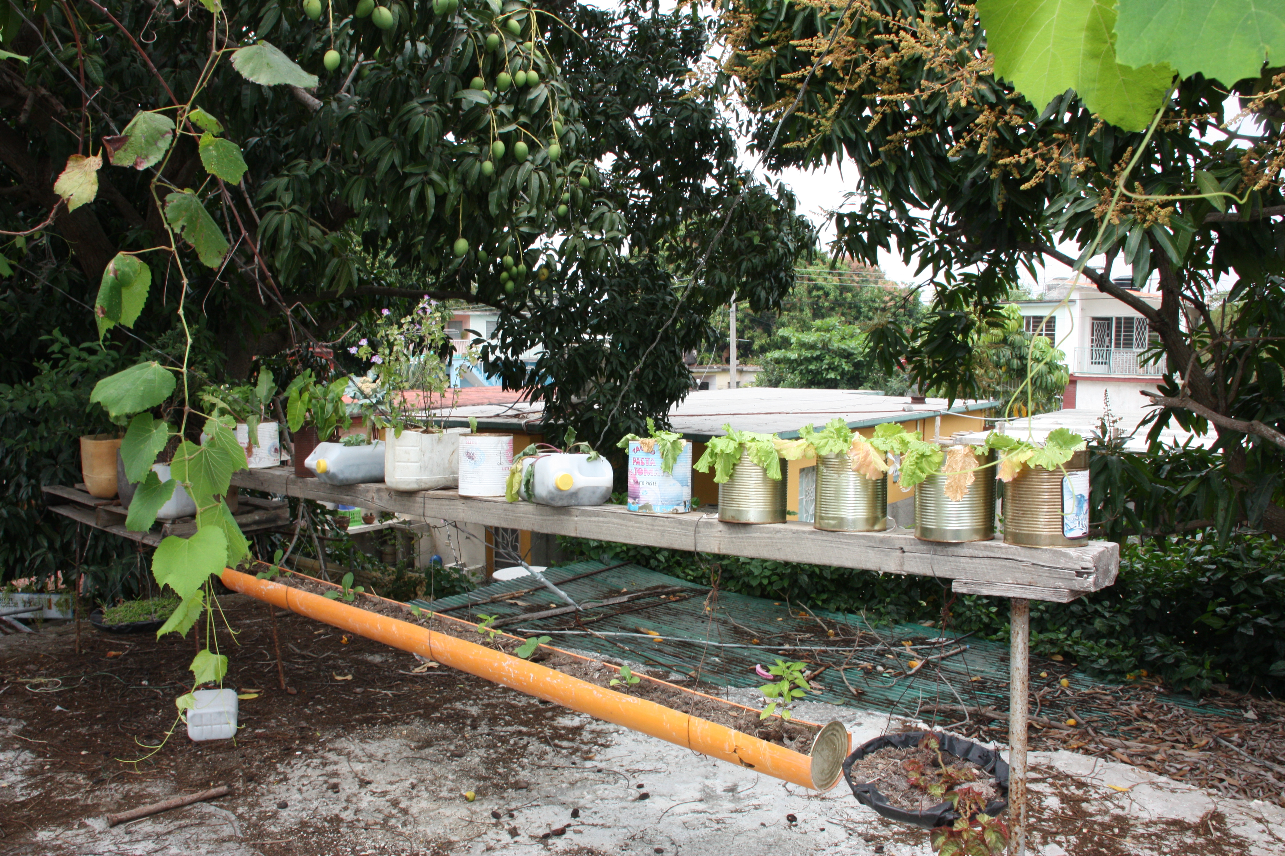 NASPLY - Nature And Social Permaculture Learning for Youth - Friends Of the  Earth Malta