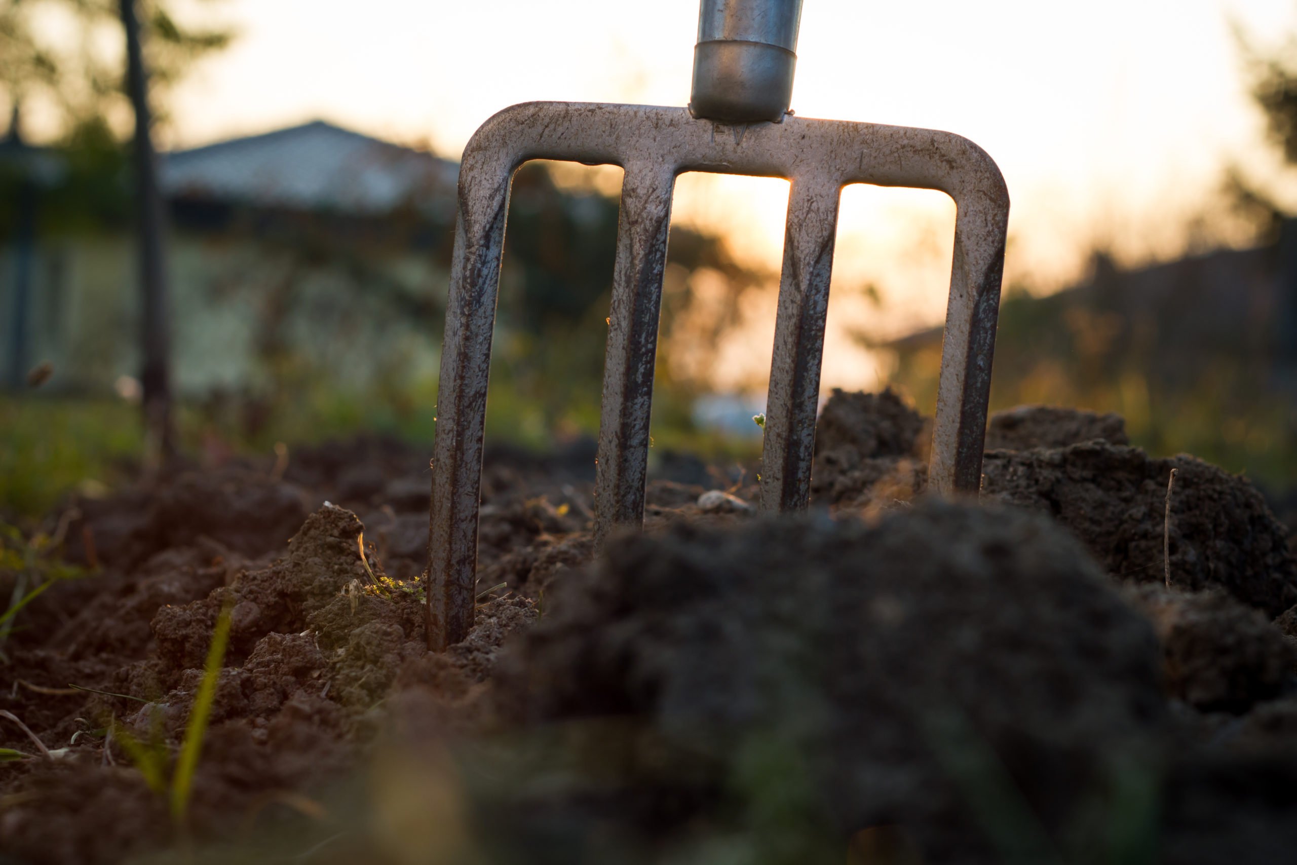 Mars au jardin potager