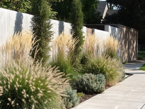 Einen Grsergarten gestalten: So geht's