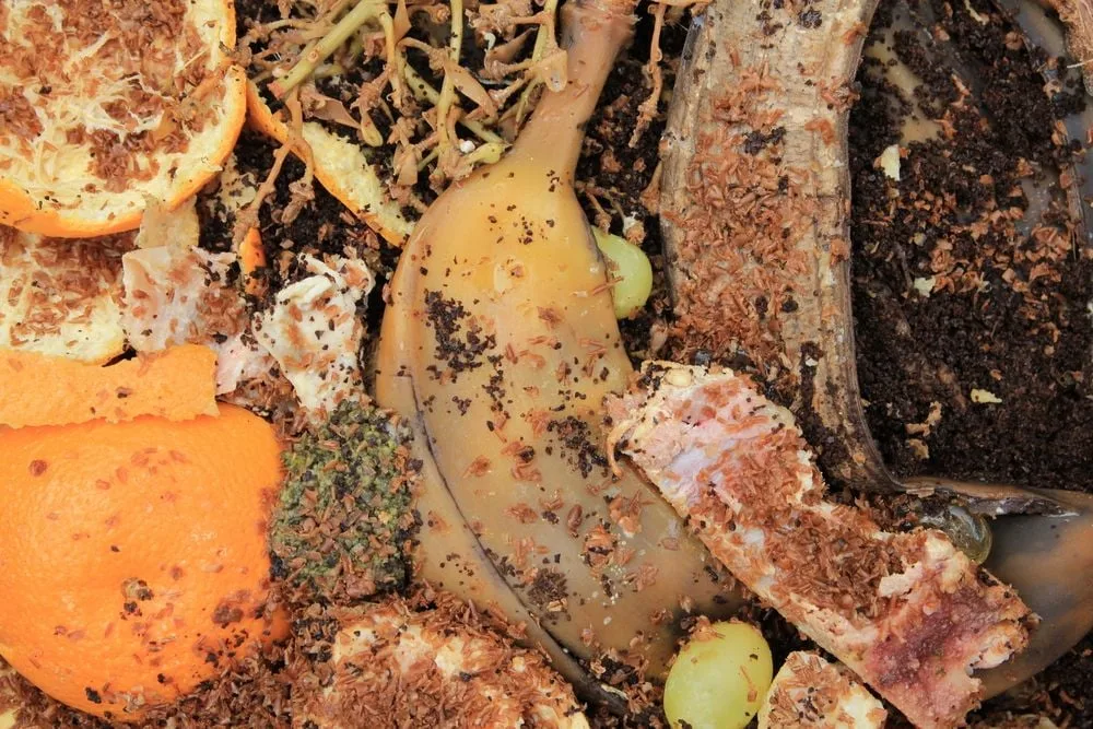 npk dünger mit schwefel Dennerle Plant Care NPK