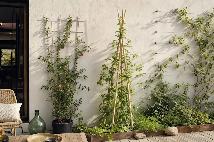 Comment fabriquer un treillis pour plantes grimpantes soi-même ?