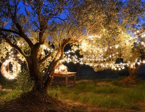 Weihnachtsbeleuchtung für Haus und Garten: So geht's