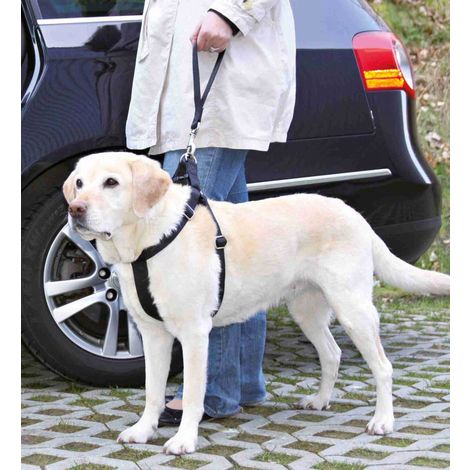 THAIN Hundegeschirr Mit Leine – Reflektierend, Verstellbar, Für Mittelgroße Hunde (Größe M, Beige)