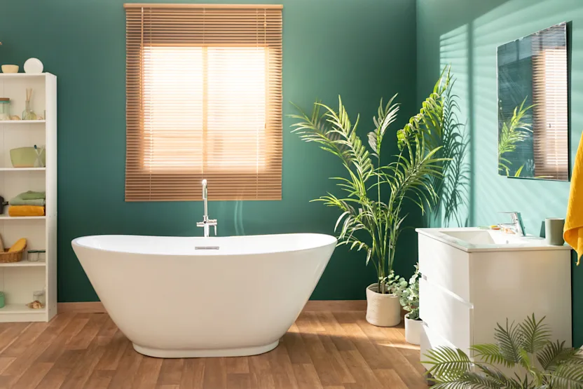 Quelles plantes font baisser l'humidité dans le logement ?