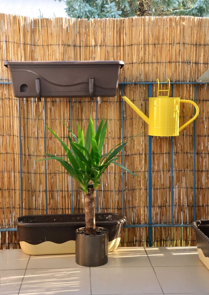 Balkon katzensicher machen: So geht's