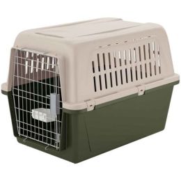Prendere l'aereo con un cane