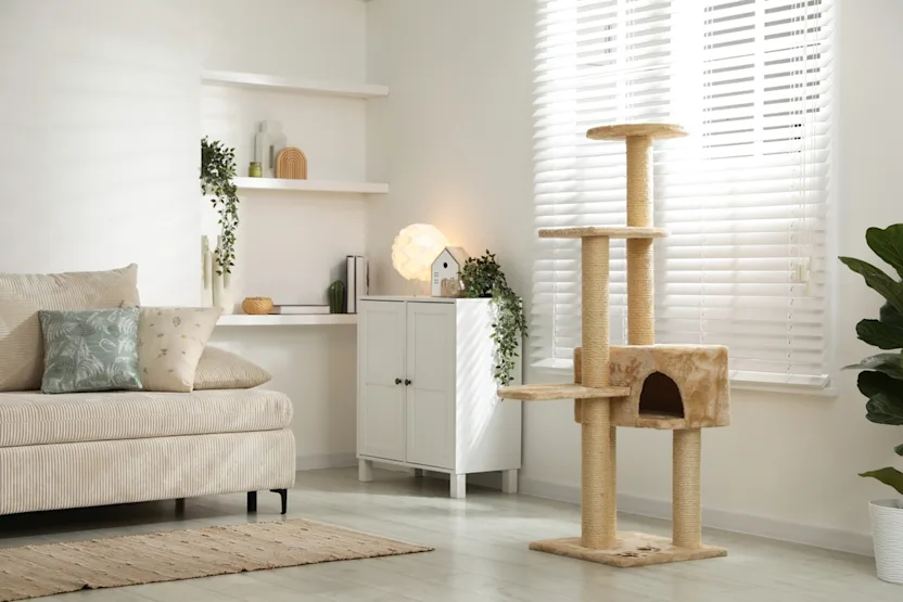 Comment réaliser un arbre à chat ?