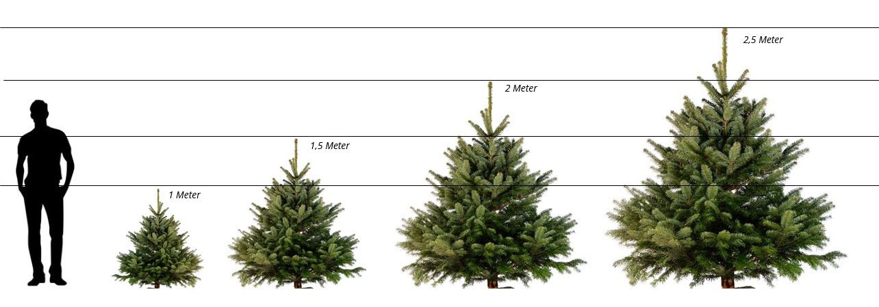 So finden Sie den richtigen knstlichen Weihnachtsbaum