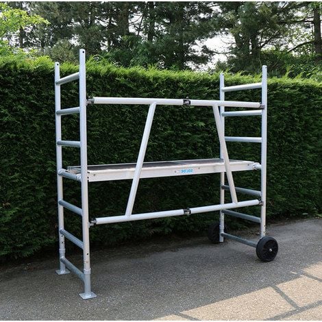 Thuja-Hecke schneiden: So geht's