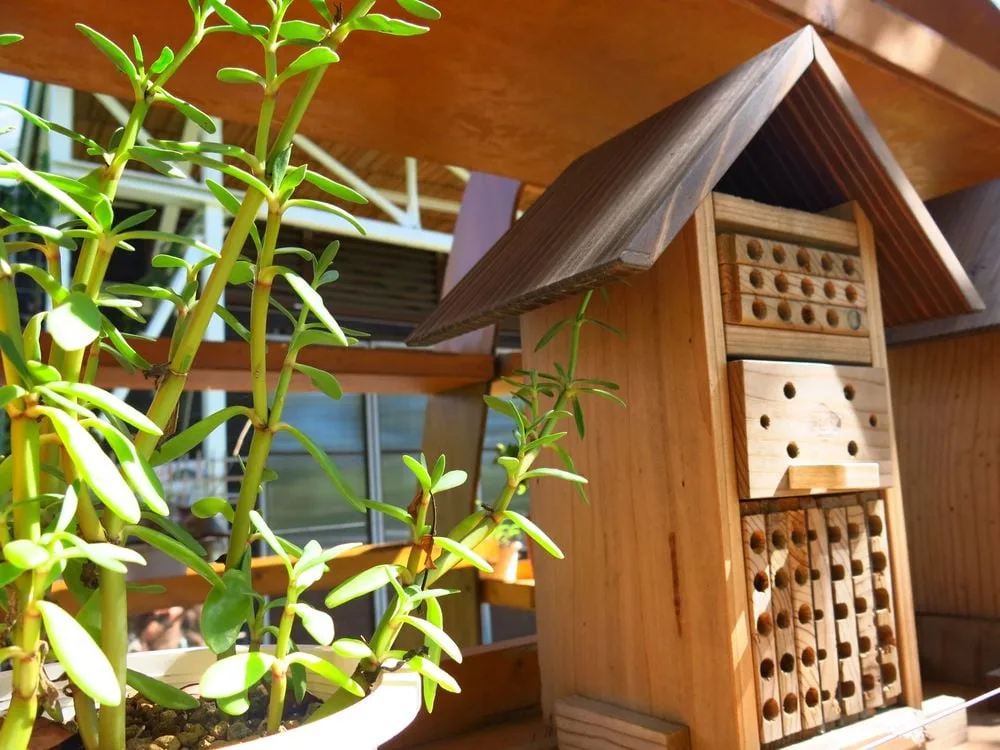 Ein Insektenhotel fr Garten und Balkon bauen  ganz einfach!