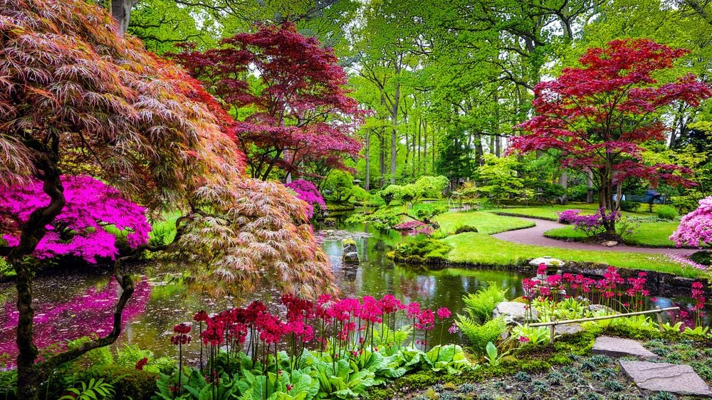 Le nostre idee per realizzare un giardino zen