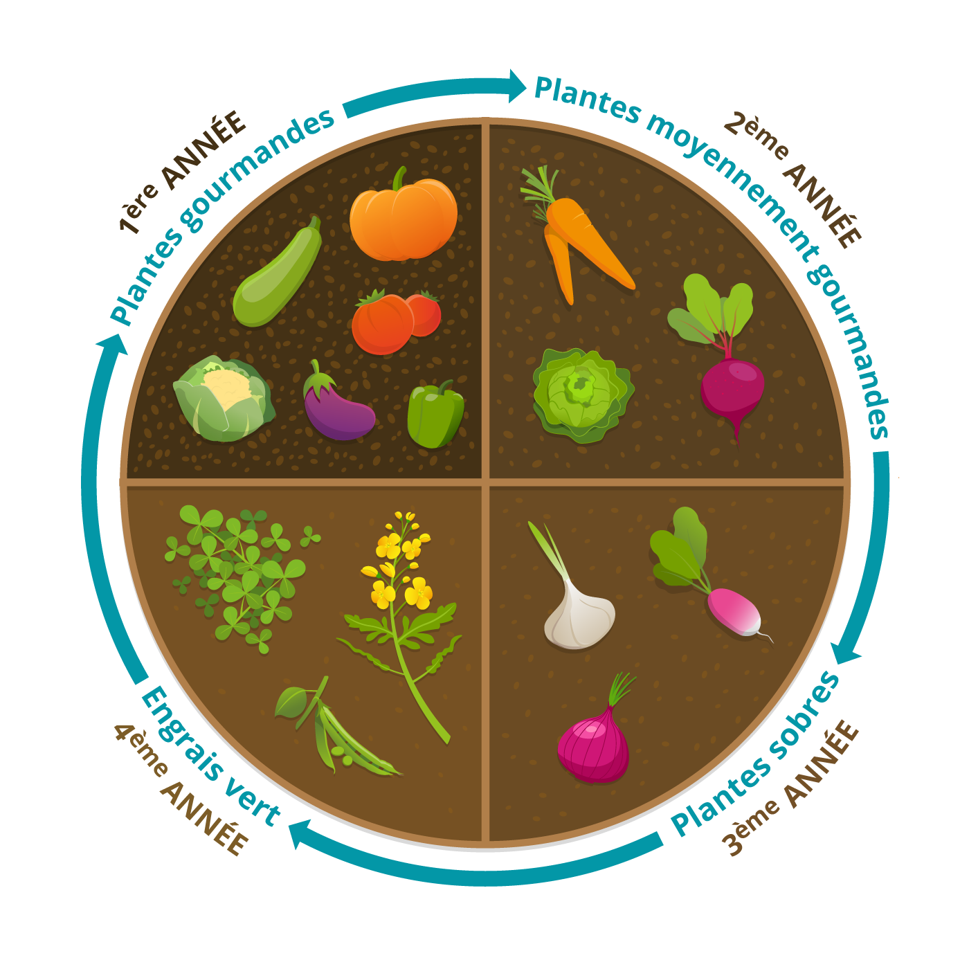 exemples de rotation des cultures