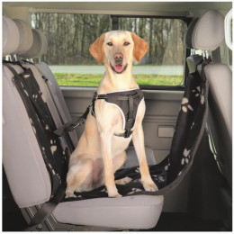 Come trasportare un cane in macchina?