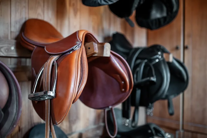 Comment choisir une selle de cheval ?