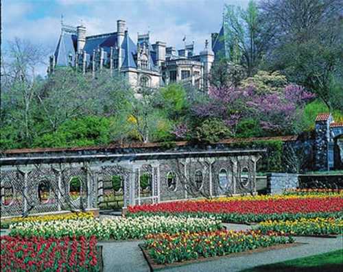 Biltmore is Blooming!