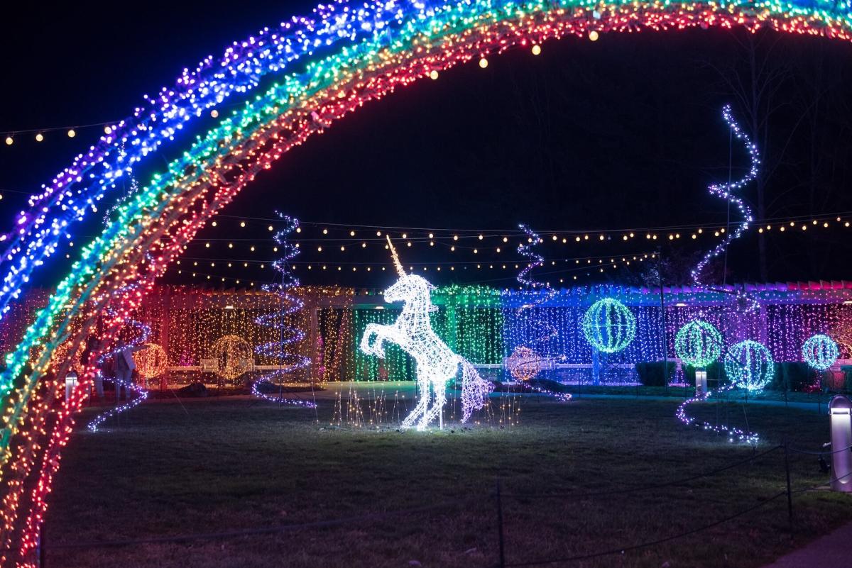 A unicorn and rainbow at the NC Arboretum's Winter Lights Display. Photo by David Lewis. 